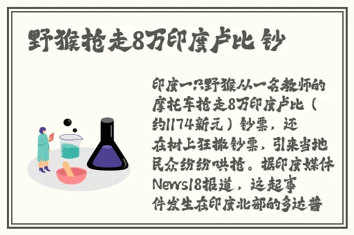 小草2023回家不迷路